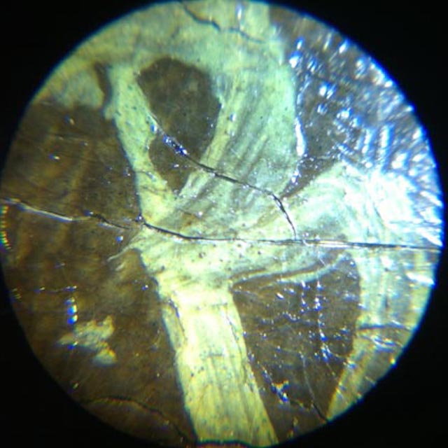 Lettre d'une signature sous microscope
